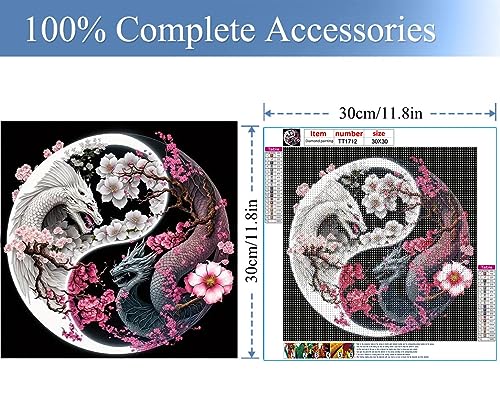 JFYHAB Dragon Diamond Painting Kits-Taichi Dragon Diamond Painting Kits for Adults,5D DIY Full Drill Dragon Diamond Art for Home Wall Decor 12x12inch