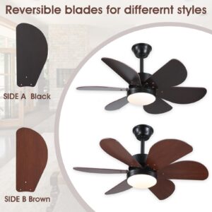 MADSHNE Ceiling Fans with Lights and Remote,36" Black Outdoor Ceiling Fans with 6 Reversible Wood Blades,Small Modern Ceiling Fans for Patio Kitchen Bedroom