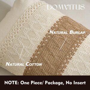 DOMVITUS Boho Pillow Covers 18x18, Throw Pillow Covers for Farmhouse Accent Decorative Throw Pillows, Neutral Pillow Covers for living room bedroom couch, One Stripe, 1PC