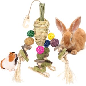 YDFAZXY Bunny Chew Toys, Rabbit Cage Hanging Chew Toys and Treats, Natural Woven Carrot with Snacks for Guinea Pigs Hamsters Chinchillas Rats Gerbils and Other Small Pets Teeth Grinding Toys