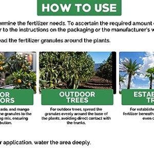 Gardenwise 6-4-6 Avocado and Citrus Tree Professional Fertilizer Plant Food for Outdoor/Indoor Gardening; Quick-Release Nitrogen Fertilizer; Orange, Lime, Avocado and Lemon Tree Fertilizer (2 QUARTS)