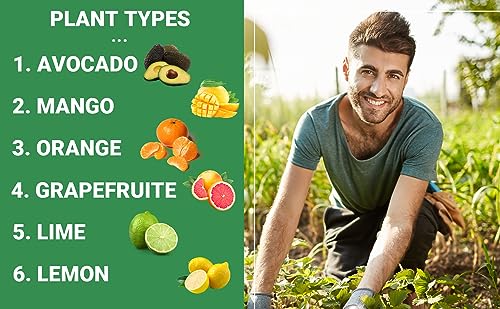 Gardenwise 6-4-6 Avocado and Citrus Tree Professional Fertilizer Plant Food for Outdoor/Indoor Gardening; Quick-Release Nitrogen Fertilizer; Orange, Lime, Avocado and Lemon Tree Fertilizer (2 QUARTS)