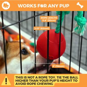 Fossa 4-in-1 Crate Entertaing Puzzle Chew Toy for Dogs | Upgrade Crate Training Aids for Puppies | Food Treat Dispensing Dog Toys | Dog Teething Ball with Adjust Rope to Reduce Stress Anxiety