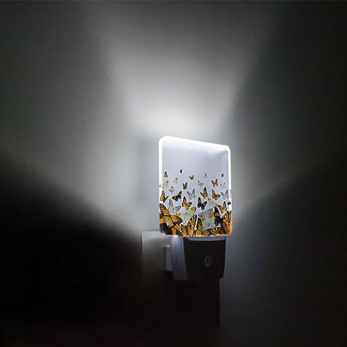 Big buy store Night Lights Auto Sensor Butterfly Floral Plug-in LED Nightlights Dusk to Dawn for Living Room, Bedroom, Bathroom, Kitchen, Hallway, Stairways, Country Style Orange Blue Butterfly