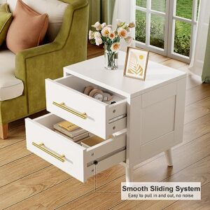 Aiho Nightstand, Bedside Table with Metal Handles, Modern Wood Night Stand 2 Drawer Dresser for Bedroom, White Nightstand