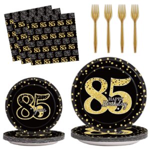 96 Pcs 85th Birthday Party Supplies 85th Birthday Tableware Plates Cheers to 85 Years Table Decorations Dinnerware Happy 85th Birthday Party Favor for Men Woman Eighty-five Years Birthday 24 Guests