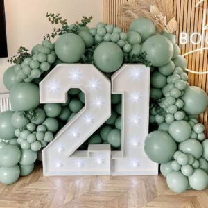 Dusty Green Balloon Garland Double Stuffed Olive Green Balloon Different Size Retro Mint Green Balloon Arch Kit for Birthday Wedding Baby Shower Bridal Shower Engagement Party Decor