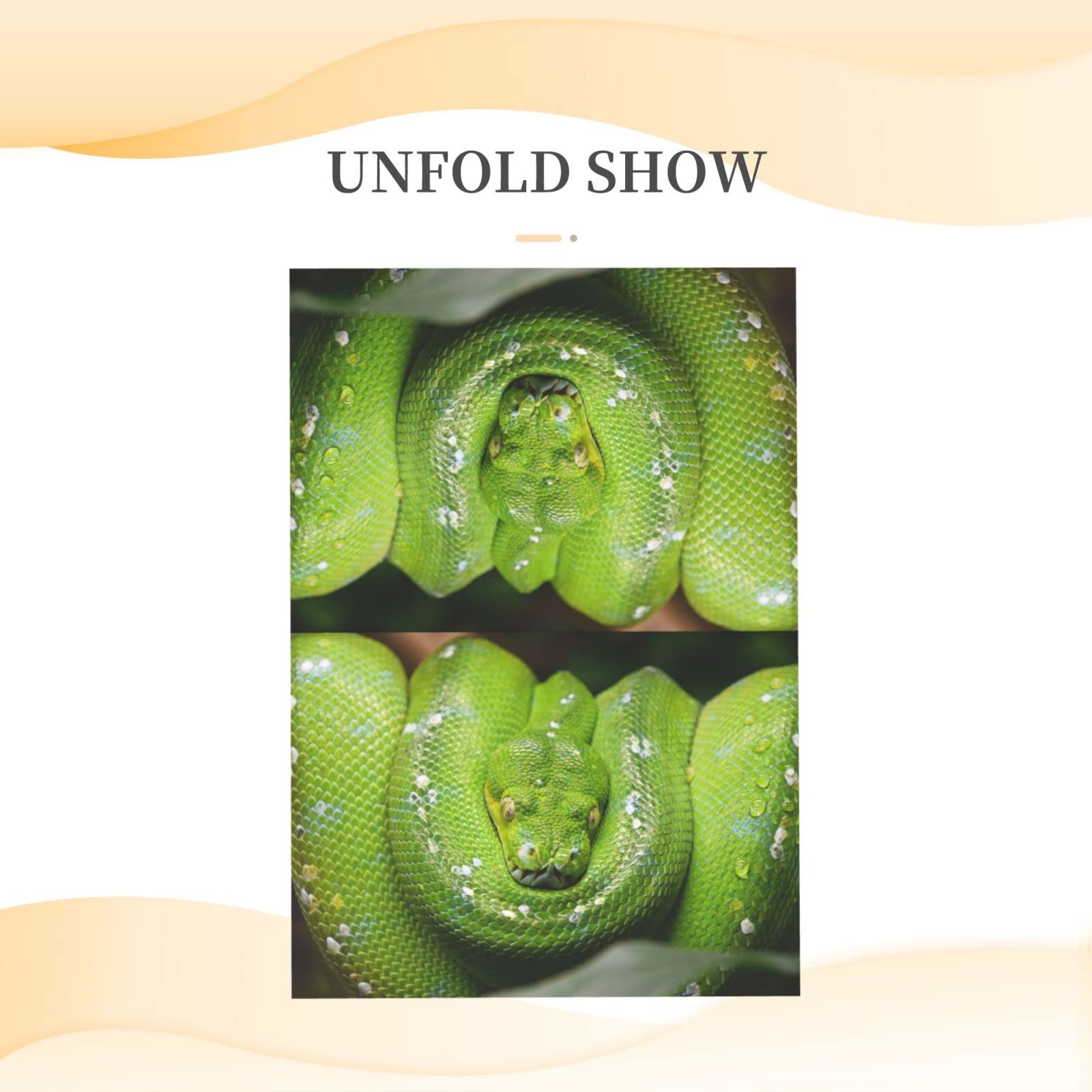 PAILON Green Snake Thank You Cards With Envelopes, Blank Greeting Note Cards With Envelopes Blank Inside, Funny Birthday Cards For Women Men, Thank You Card For Wedding Business,Graduation