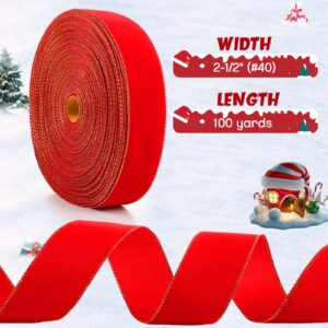 Lyrow 2 Pack Wired Traditional Red Velvet 2.5 inch Christmas Ribbon Waterproof Ribbon with Wire Edge 2 1/2" Wide 100 Yards Roll Holiday Floral Craft Winter Decor Outdoor Xmas Tree Bow (Red, Gold)