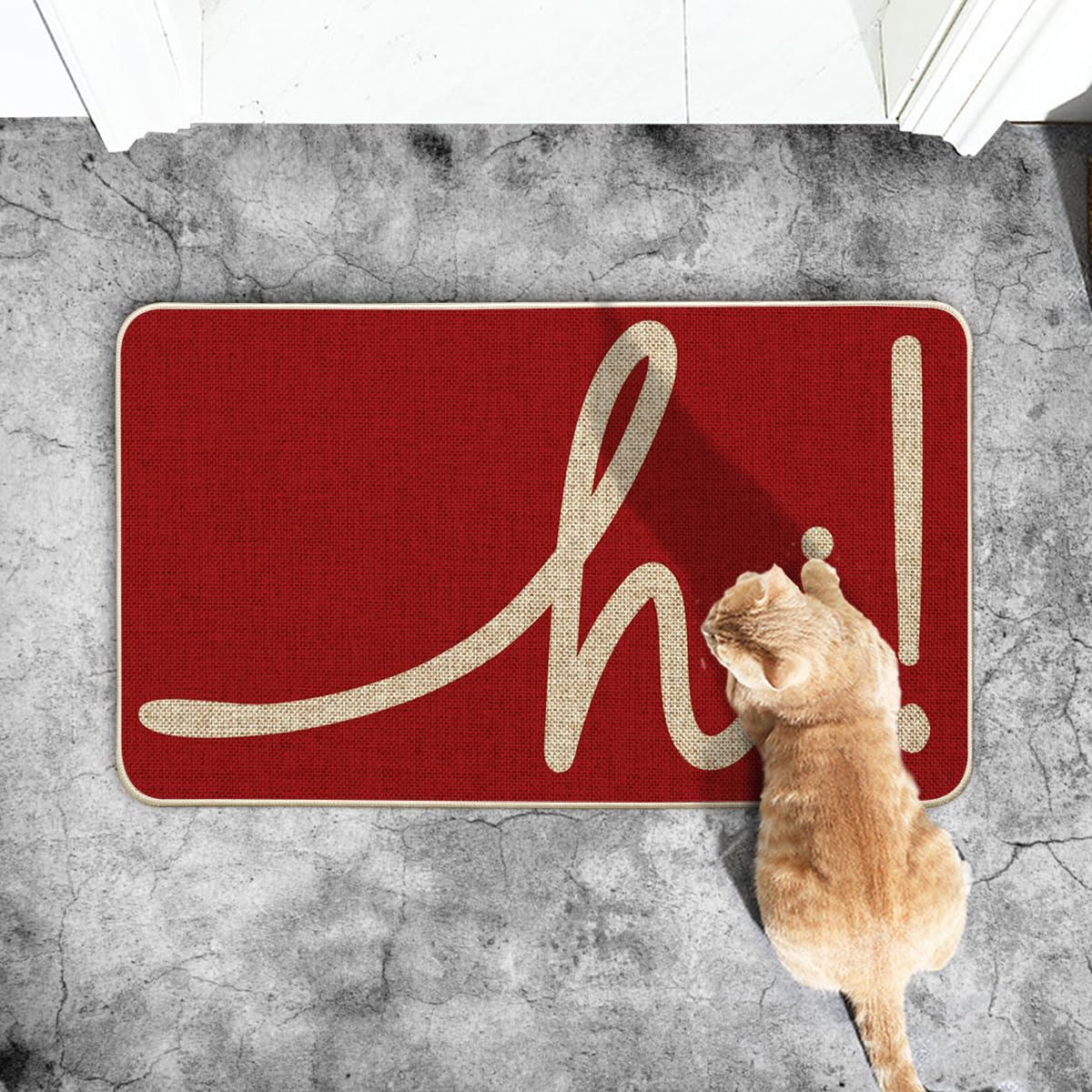 Artoid Mode Red Hi Christmas Doormat, Home Decor Low-Profile Switch Rug Welcome Door Mat Floor Mat for Front Door Indoor Outdoor 17x29 Inch