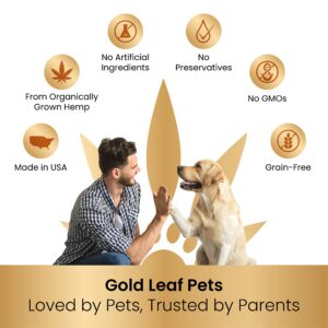 Gold Leaf Hemp Oil for Dogs and Cats - Maximum Strength - Organically Grown Hemp Oil Drops - Anxiety Relief, Calming Sleep Aid, & Relaxing Pain Relief - Better Than Chews & Treats - for All Breeds