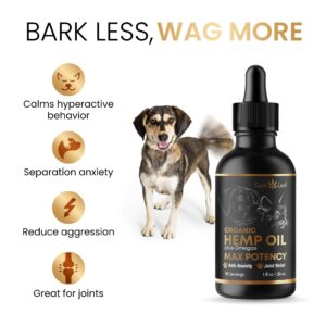 Gold Leaf Hemp Oil for Dogs and Cats - Maximum Strength - Organically Grown Hemp Oil Drops - Anxiety Relief, Calming Sleep Aid, & Relaxing Pain Relief - Better Than Chews & Treats - for All Breeds