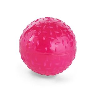 Leaps & Bounds Romp & Run Glow-in-The-Dark Bouncy Ball Dog Toy in, Medium