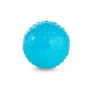 Leaps & Bounds Romp & Run Glow-in-The-Dark Bouncy Ball Dog Toy in, Medium