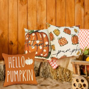 HiParty Fall Decor Pillow Covers 18x18, Set of 4 Orange Pumpkin Pillows Cover Happy Fall Outdoor Farmhouse Decorative Throw Pillows Covers for Couch Sofa Autumn Thanksgiving Cushion Decoration