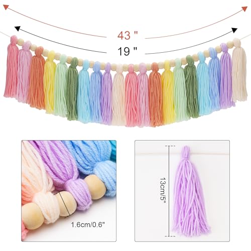 Anwyll Tassel Garland,Pastel Rainbow Tassel Garland,Boho Colorful Tassel Garland Party Decor,Home Decor Tassel with Wood Bead,Birthday Party Garland for Christmas,home Classroom,Wall Hanging Decor