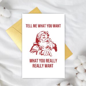 Supoeguk Funny Christmas Card for Men Women, Happy Holiday Card for Friends Family, Cool Santa Card for Him Her, Tell Me What You Really Want