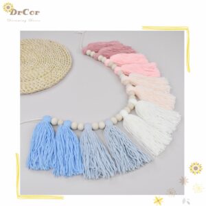 DrCor Pink and Blue Yarn Tassel Garland Preppy Boho Bunting Banner Wall Hanging Decor for Classroom Back to School Nursery Party Kids Bedroom Baby Shower Decoration