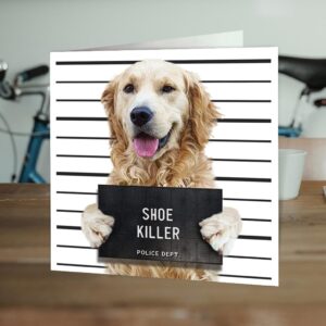 Brainbox Candy - Funny Birthday Cards - 'Shoe Killer' - Cute Dog Cards - Golden Retriever Dog Owners - Pet Dog Lovers - Cheeky Birthday Cards for Him Her Men Women Partner Friend