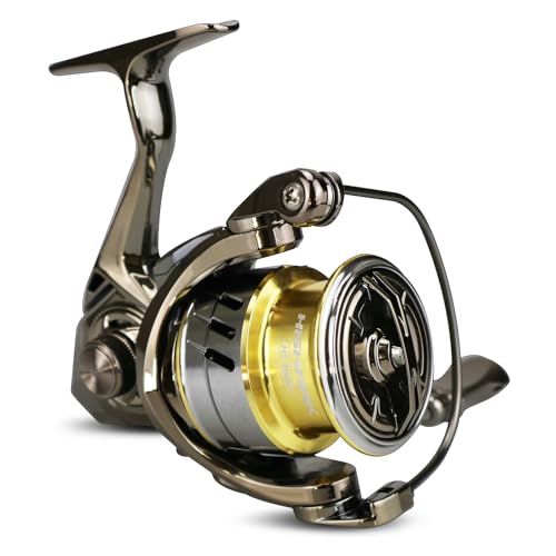 HISHARK Fishing Reel Spinning Reels, 5+1 Ball Bearings,6.2:1 Gear Ratio,HS 4000 Series, Ultra Smooth/Ultralight Perfect for Fishing