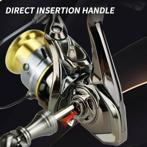 HISHARK Fishing Reel Spinning Reels, 5+1 Ball Bearings,6.2:1 Gear Ratio,HS 4000 Series, Ultra Smooth/Ultralight Perfect for Fishing