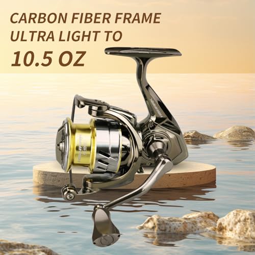 HISHARK Fishing Reel Spinning Reels, 5+1 Ball Bearings,6.2:1 Gear Ratio,HS 4000 Series, Ultra Smooth/Ultralight Perfect for Fishing