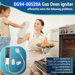 Dreyoo DG94-00520A Gas Range Oven Igniter Compatible with Samsung Gas Range Oven, Flat Oven Igniter with Connector Plug and Nuts, Replacement of 2692271 AP5577941 EAP4241428 PS4241428 (One Ear)