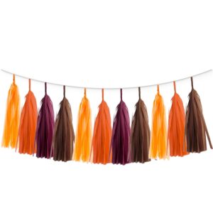 20PCS Maroon Burgundy Burnt Orange Brown Fall Party Tissue Tassel Garland Wall Hanging Banner Streamers Thanksgiving Harvest Bridal Baby Shower Wedding Birthday Nursery Home Office Décor