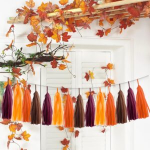 20PCS Maroon Burgundy Burnt Orange Brown Fall Party Tissue Tassel Garland Wall Hanging Banner Streamers Thanksgiving Harvest Bridal Baby Shower Wedding Birthday Nursery Home Office Décor