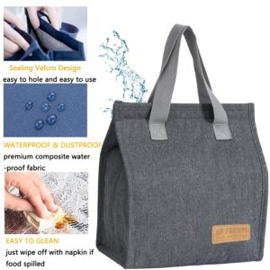 FERNYE Lunch Bag for Women/Men,Waterproof Reusable Portable Lunch Tote,Lunch Box Bag.Thermal Cooler Bag Ideal for Work/Party/l/Travel/Picnic (Light Gray)