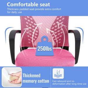 PayLessHere Office Chair Desk Chair Computer Chair Ergonomic Chair Adjustable Executive Mesh Mid Back with 360 Degree Swivel Wheels Lumbar Support Armrest (Pink)