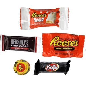 Chocolate Mix, Fun Size Individually Wrapped Holiday Candy Bulk Filled with Popular Chocolate Candy Assortment, Kit Kat Holidayocc, Hershey’s and Peanut Butter Candy Variety Pack in a Box (5 LB)