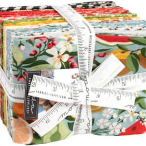 BasicGrey Fruit Loop 30 Fat Quarters Moda Fabrics 30730AB