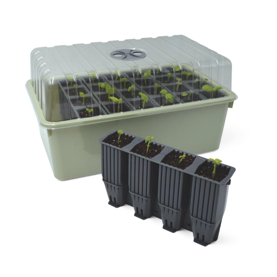 Gardener's Supply Company Deep Root Success | Self Watering Seed Starting Kit, 28-Cell Snap Apart for Easy Transplating | 4.75" Deep Cells, Growing Bin & Vented Humidity Dome