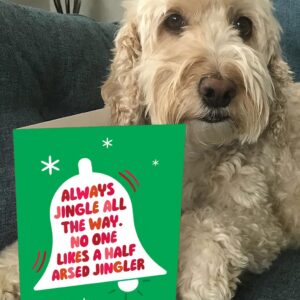 Brainbox Candy - Rude Christmas Card - 'Half Arsed Jingler' - Cheeky Xmas Cards - Funny Festive Seasonal Humour - For Him Her Men Women Friends Family - Merry Christmas