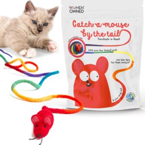 catch a mouse by the tail wool cat mouse toy with a 6-ft tail for indoor cats kittens. cute toy mouse, mouse cat toy, rat plush toy, fake mice. no catnip. pride (rainbow)