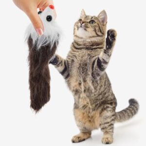 Didiseaon 6pcs Mouse Squeaker Cat Toy Cats Rat Toy Pet Cat Soft Mouse Toy Cat Catnip Toys Interactive Toy Kitten Toys