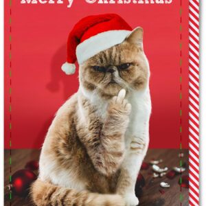 Brainbox Candy - Rude Christmas Card - 'Merry Christmas Cat Finger' - Cheeky Xmas Cards - Funny Seasonal Humour Cards - Rude Cat Themed Christmas Card - Cheeky Cat Xmas Card - For Cat Lovers