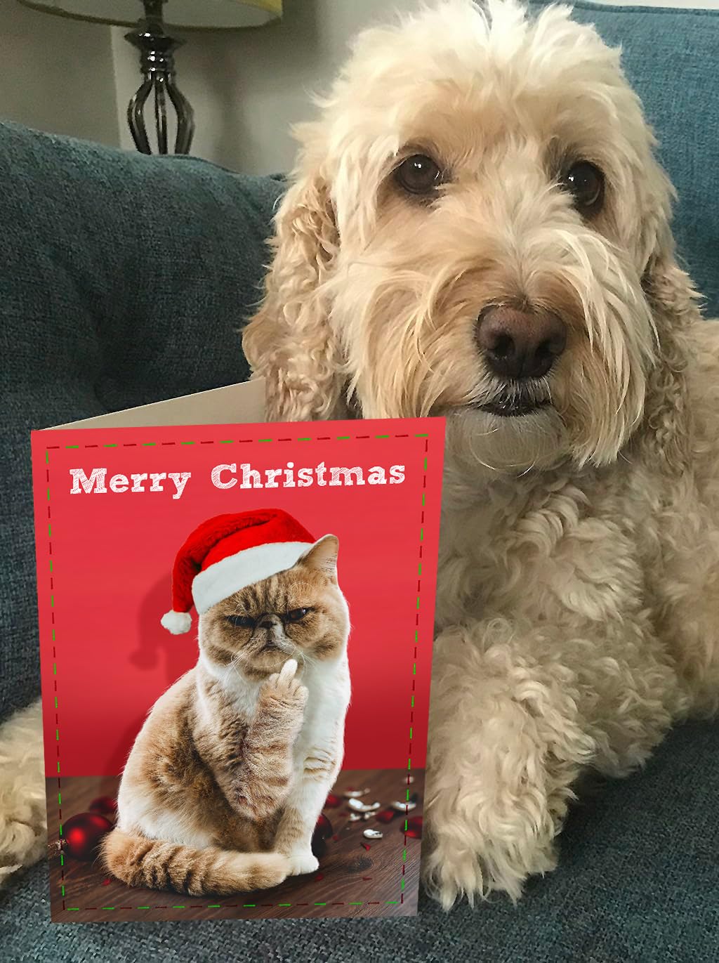 Brainbox Candy - Rude Christmas Card - 'Merry Christmas Cat Finger' - Cheeky Xmas Cards - Funny Seasonal Humour Cards - Rude Cat Themed Christmas Card - Cheeky Cat Xmas Card - For Cat Lovers