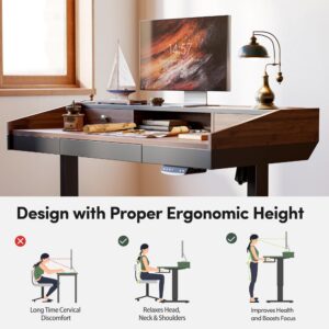 FEZIBO 48" Whole-Piece Standing Desk Adjustable Height with drawers, 48 x 24 inches Electric Stand Up Desk with Monitor Shelf, Sit Stand Rising Desk with baffle, Black Walnut