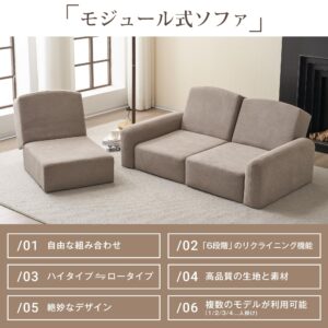 オーエスジェイ(OSJ) Sofa Bed, Floor Sofa, Compact, Low Sofa, for Kotatsu Sofa, Stylish, Multi-Functional Sofa