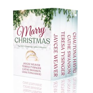 marry christmas: christmas lights collection 2023 (the christmas lights collection)