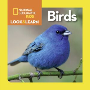 national geographic kids look and learn: birds (look & learn)