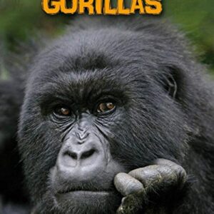 Gorillas (Heinemann InfoSearch: Living in the Wild: Primates)