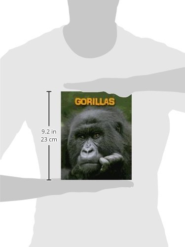 Gorillas (Heinemann InfoSearch: Living in the Wild: Primates)