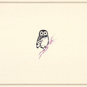 Owl Portrait Note Cards (Stationery, Boxed Cards)