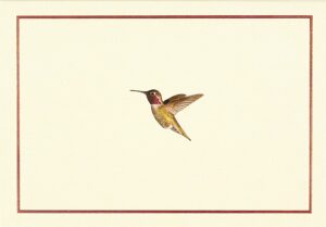 hummingbird flight note cards (stationery, boxed cards)