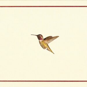 Hummingbird Flight Note Cards (Stationery, Boxed Cards)