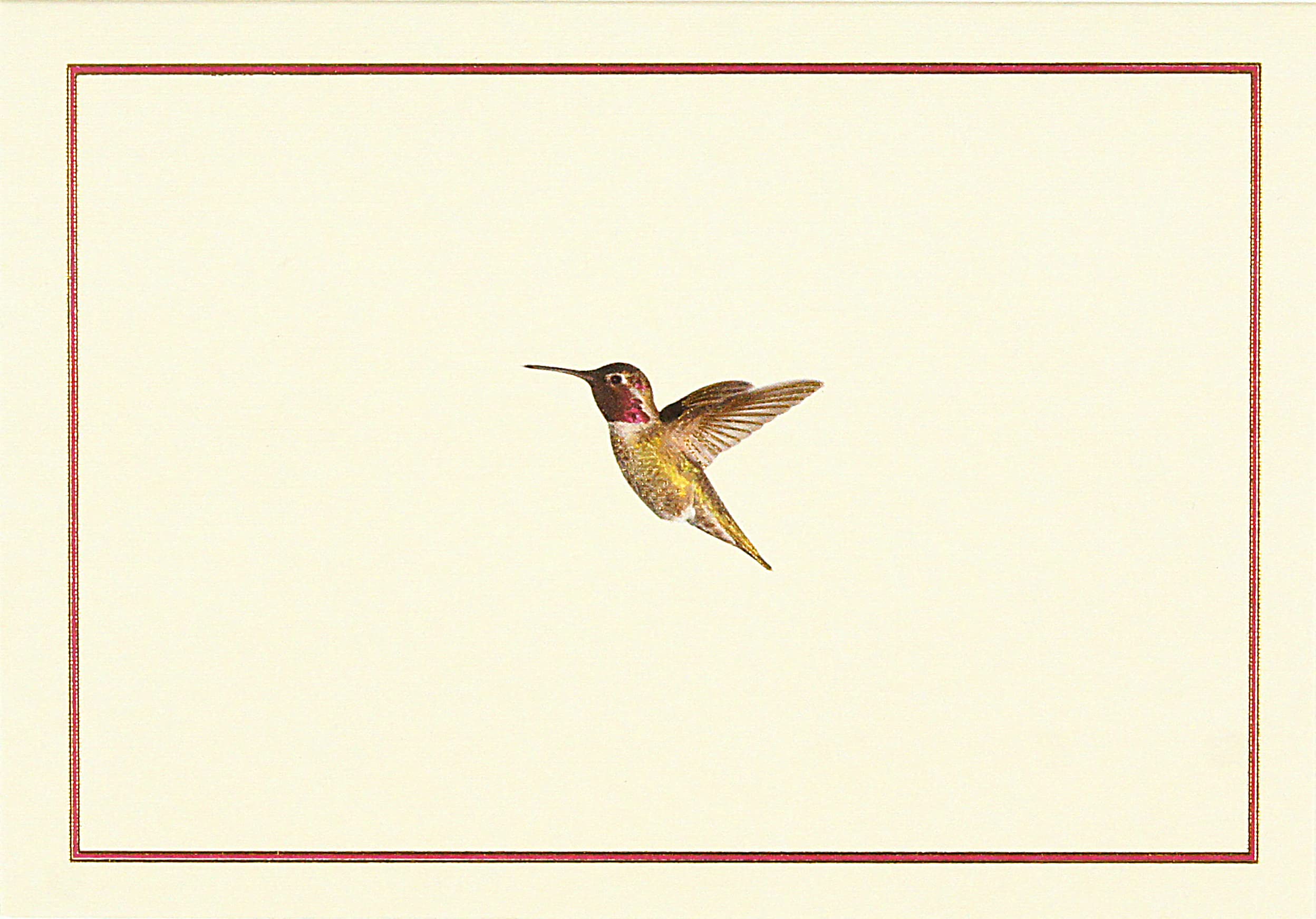 Hummingbird Flight Note Cards (Stationery, Boxed Cards)