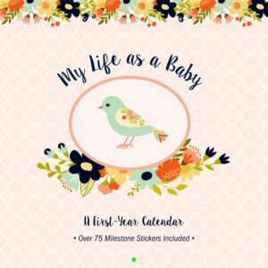 my life as a baby: a first-year calendar (birds)